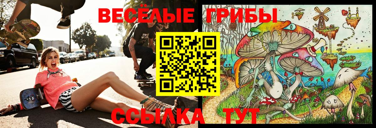 Псилоцибиновые грибы мицелий  Галлюциногенные грибы Magic Shrooms  Уссурийск  Вход с VPN 